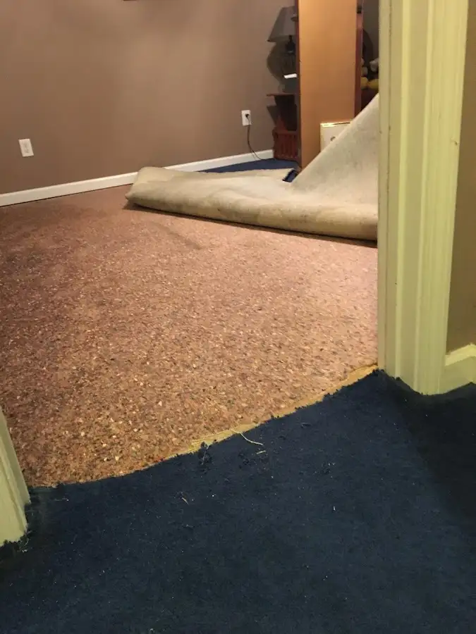 Carpet pad removal revealing water damage during Drying & Dehumidification in Fountainebleau