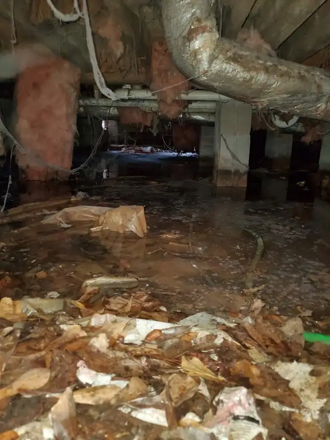 Crawl space flood assessment for Commercial Water Damage Restoration in Fountainebleau